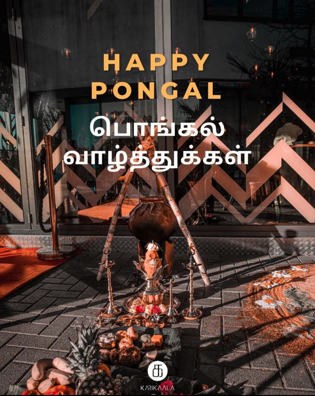 Happy Pongal - image with pongal tradition in the background